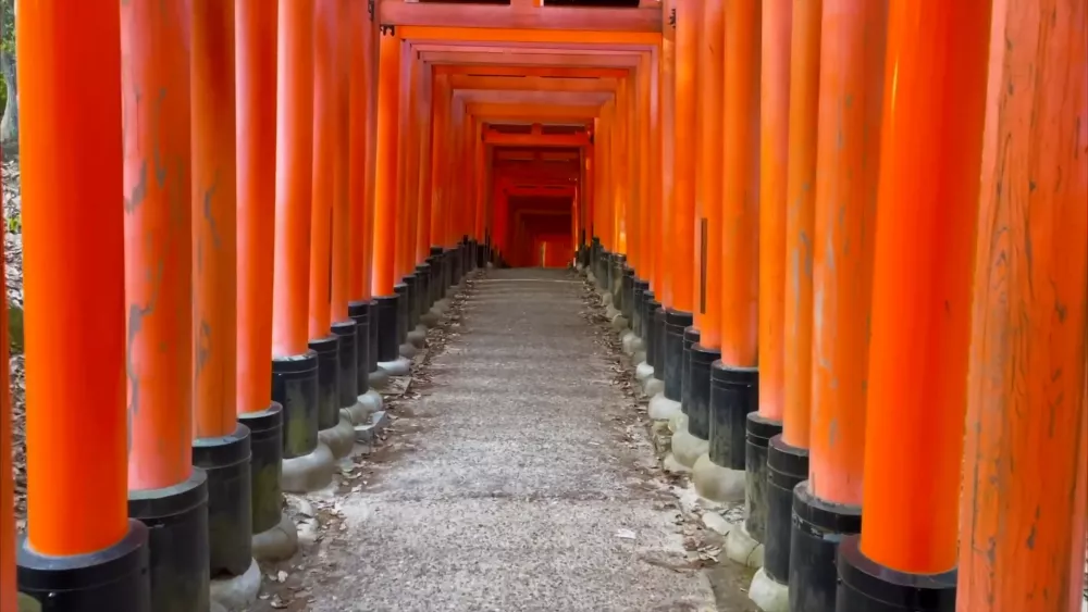 10 000 ворот тории в Киото
