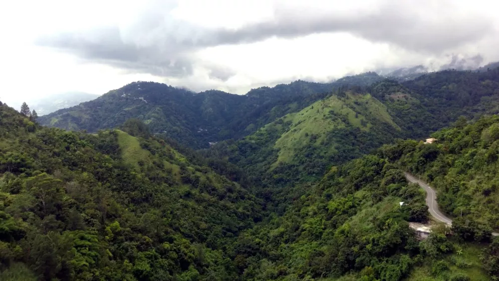Блу-Маунтинс — горы на востоке Ямайки
