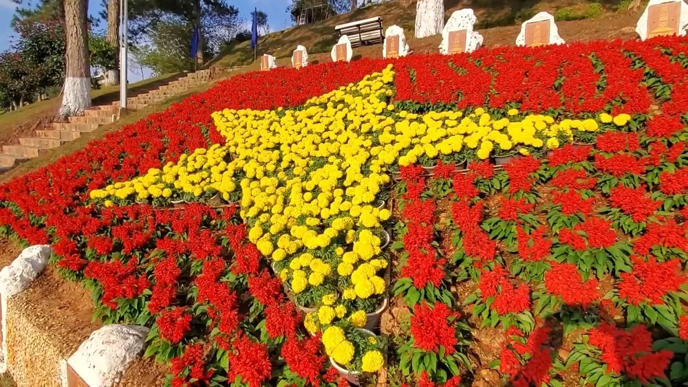 Далат – город тысячи цветов