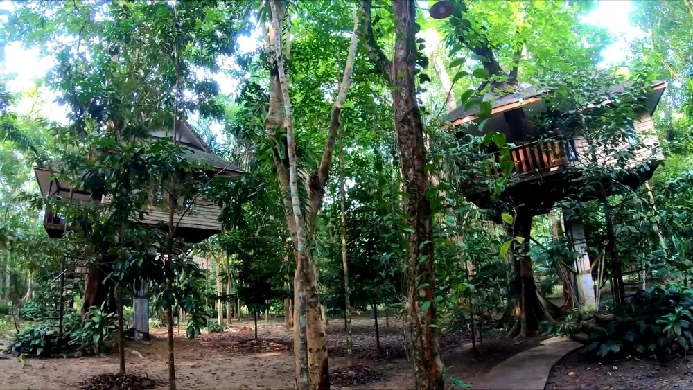 Дома на деревьях посреди джунглей в Као Сок