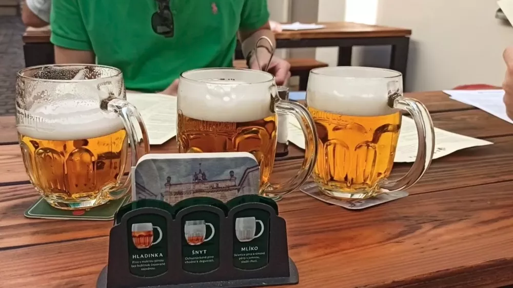 Дегустация чешского пива
