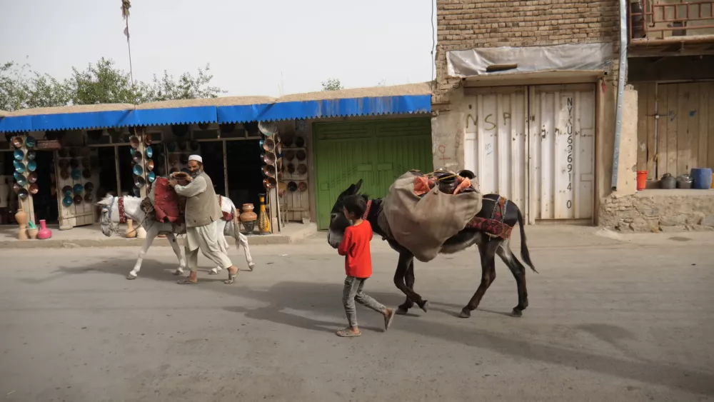 Ишак - основной вид транспорта в Афганистане