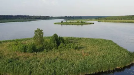 Лядское озеро - Беловежская пуща