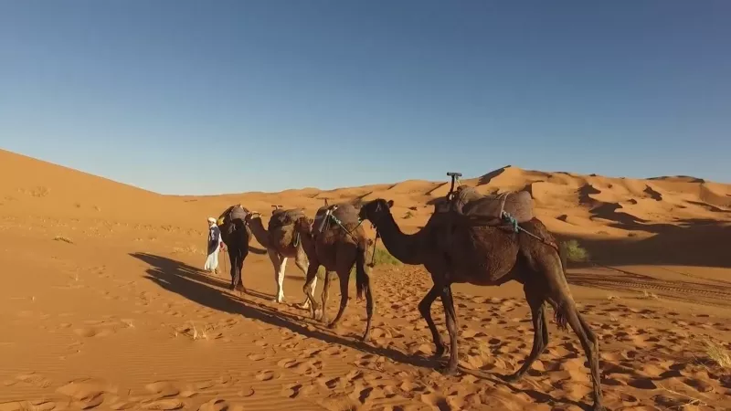 Марокко - путешествие по пустыне на верблюдах