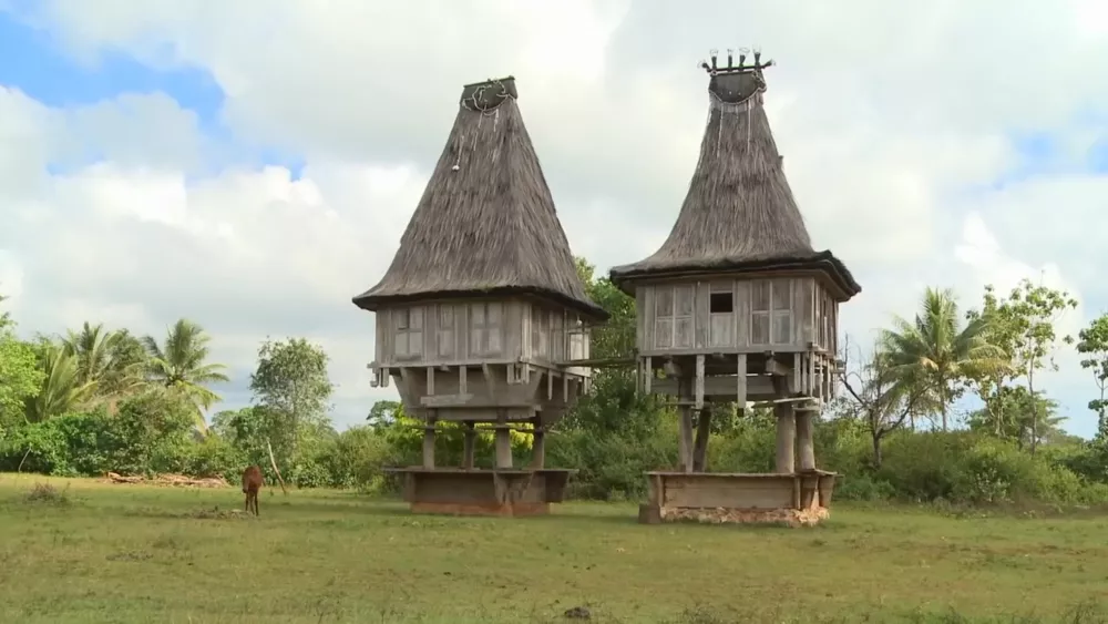 Необычные дома местных аборигенов Восточного Тимора