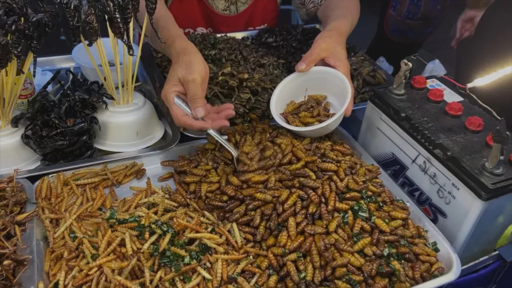 Необычные местные лакомства на рынках Таиланда - жаренные насекомые