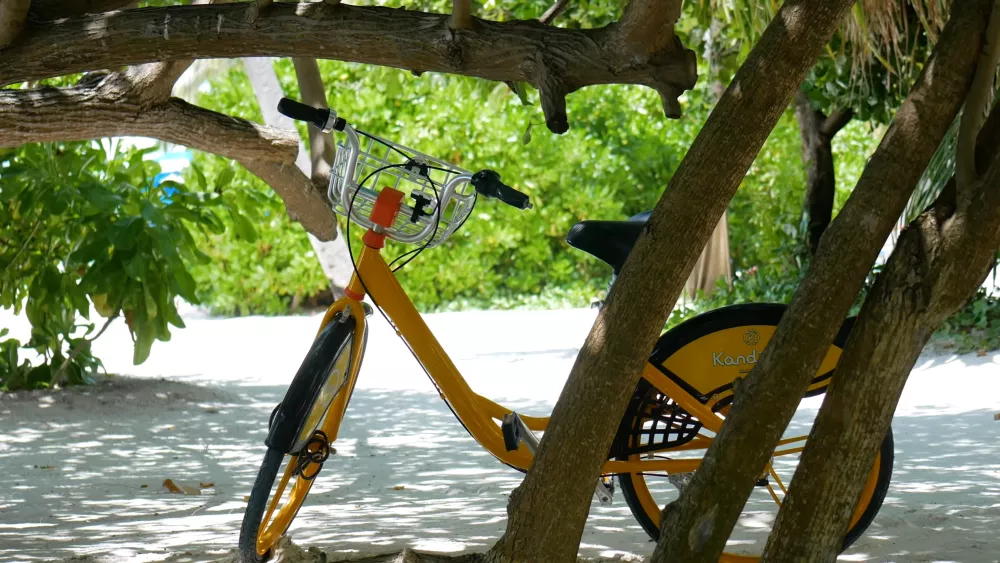 Основной вид транспорта на Мальдивах - велосипед