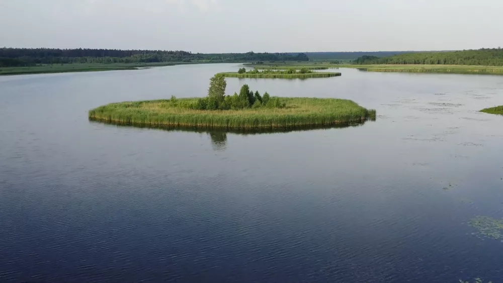 Озера Беларуси - Беловежская пуща