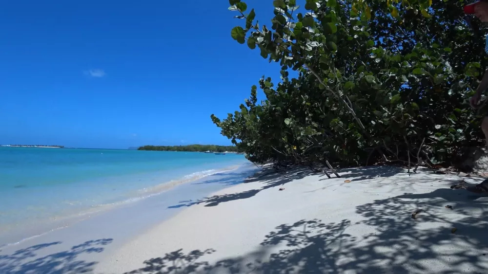 Пляжи острова Карриаку - белый песок и кристально чистая вода