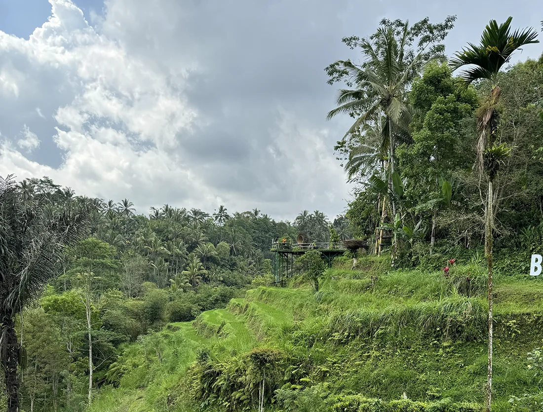 Природные ресурсы Индонезии