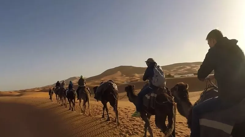 Прогулка на верблюдах по Сахаре