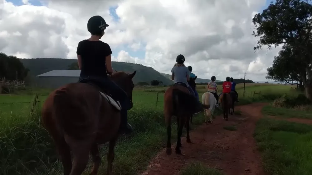 Прогулка по Свазиленду на лошадях
