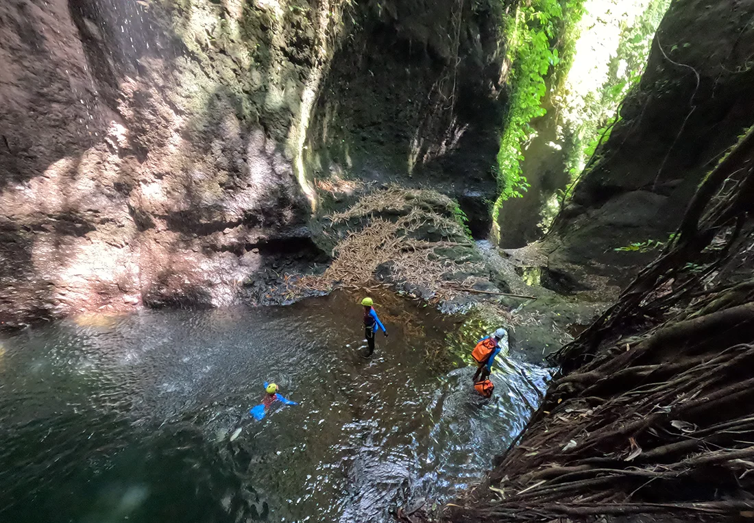 Природные ресурсы Индонезии