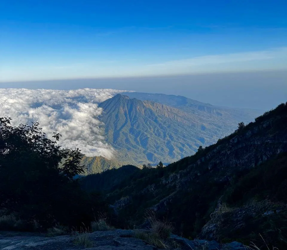 ресурсы Индонезии