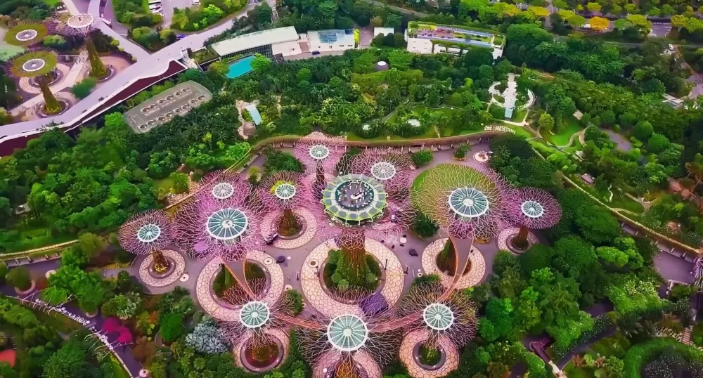 Сады у Залива — природный парк в Сингапуре