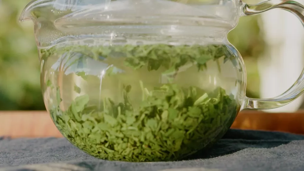 Сенча — сорт зелёного чая, производимый в Японии