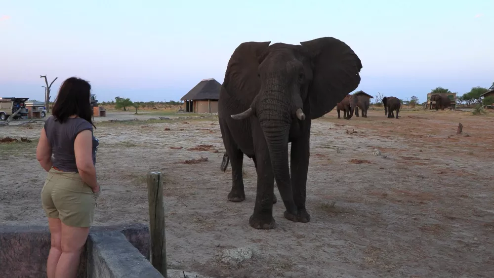 Слоны - основные жители национальных парков Ботсваны