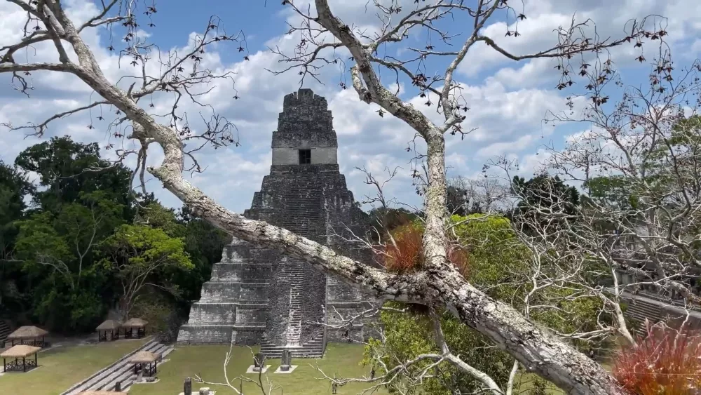 Тикаль — одно из крупнейших городищ майя в Гватемале