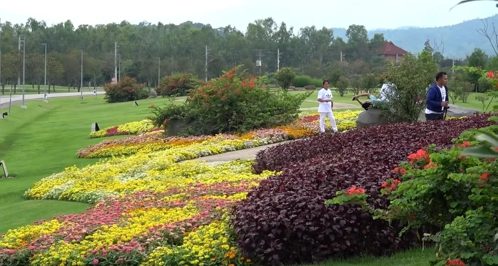 Цветочные парки в Чианграе