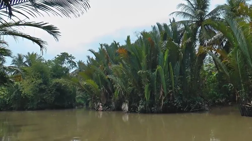 Устье реки в дельте Меконга