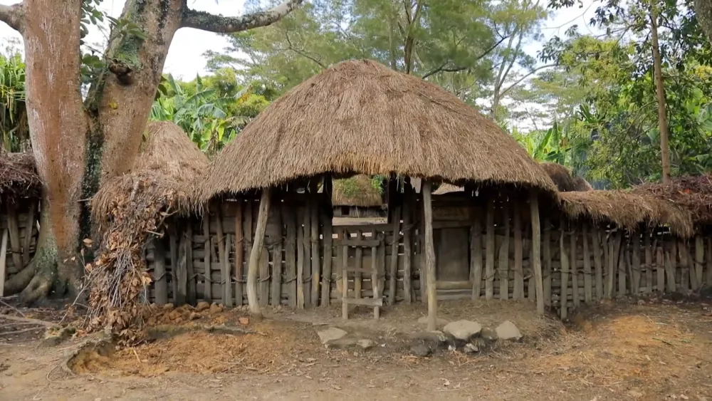 Традиционные жилища местных жителей - папуасов
