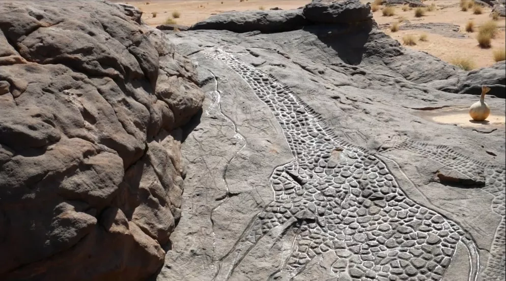 Жирафы Дабу — петроглифы эпохи неолита в Нигере